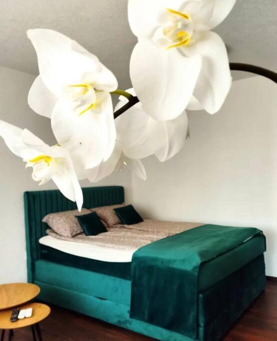 סראייבו Zeid City Center Apartment מראה חיצוני תמונה