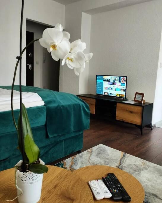 סראייבו Zeid City Center Apartment מראה חיצוני תמונה